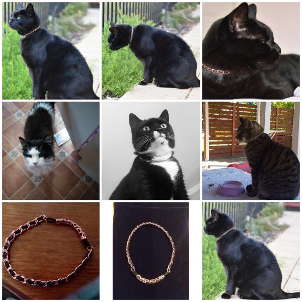 Collars for your Cats | Dog Copper Collars Australia| KB Copper Collars